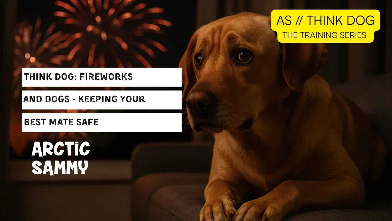 AS Think Dog // Fireworks and Dogs - Keeping Your Best Mate Safe