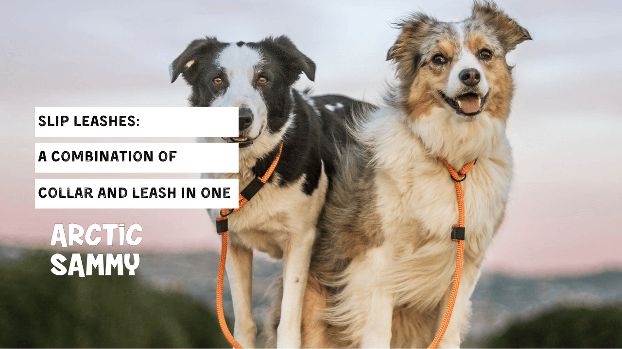 Slip Leashes