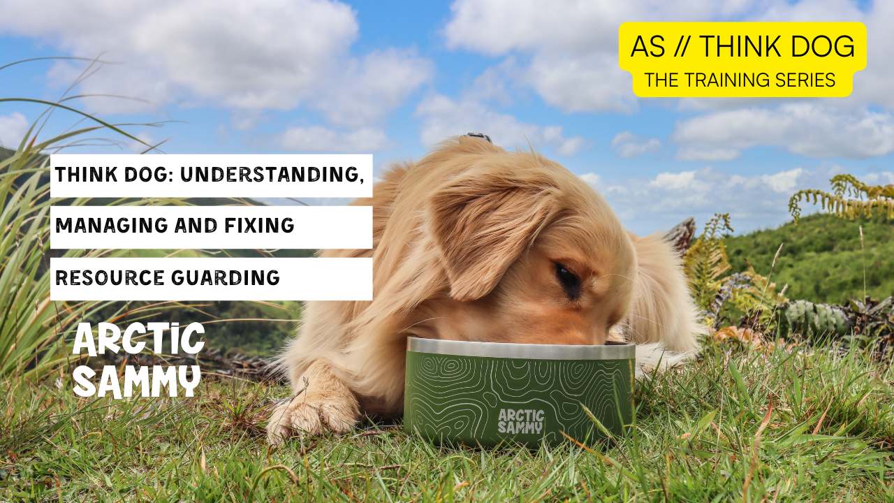 Dog Training for Resource Guarding: Expert Tips