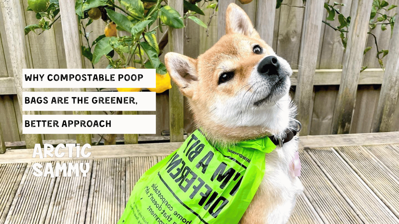 Why Compostable Poop Bags are the Greener, Better Approach