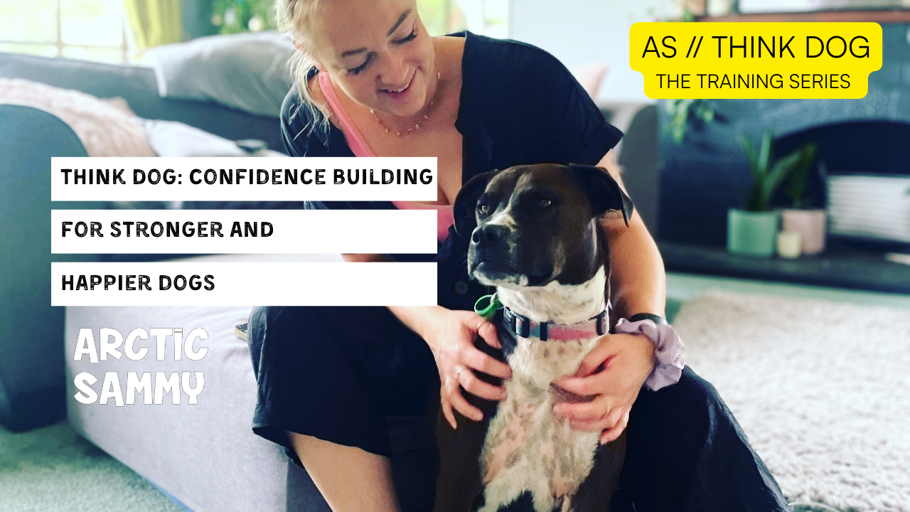 AS Think Dog // Confidence building for stronger and happier dogs