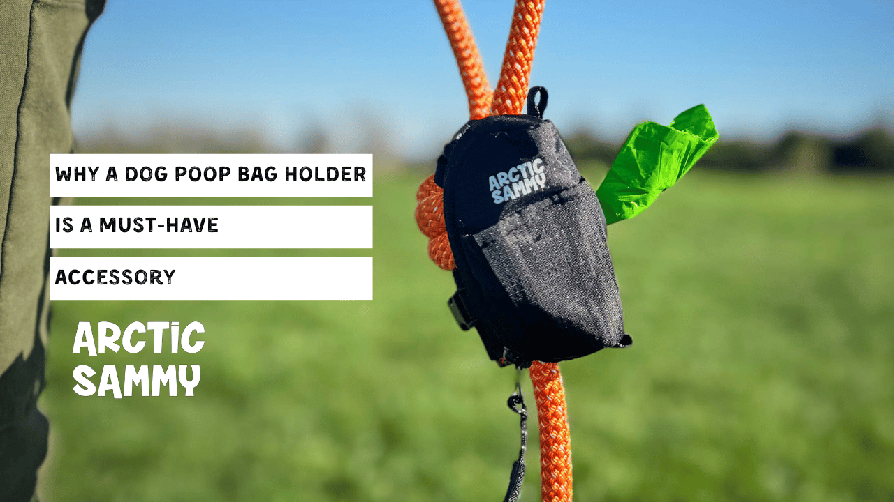 Why a Dog Poop Bag Holder is a Must-Have Accessory