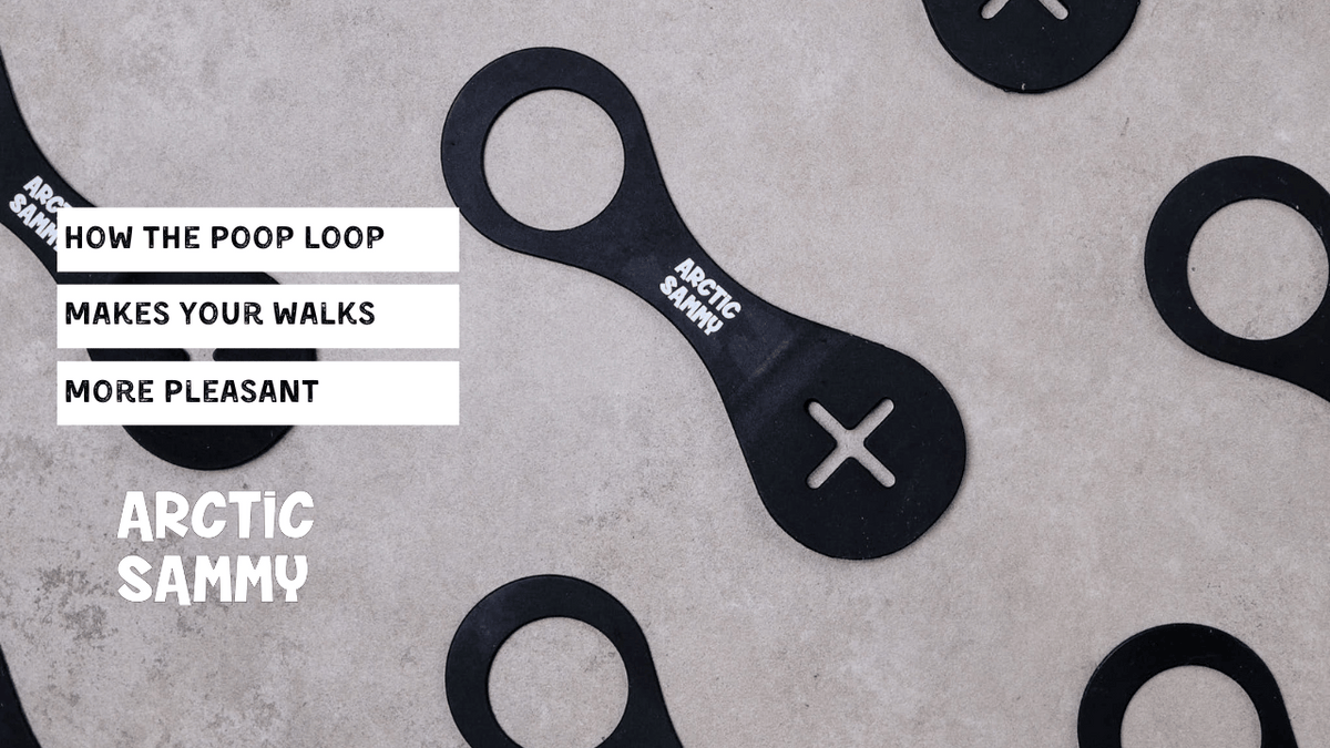 How the Poop Loop Makes Your Walks More Pleasant
