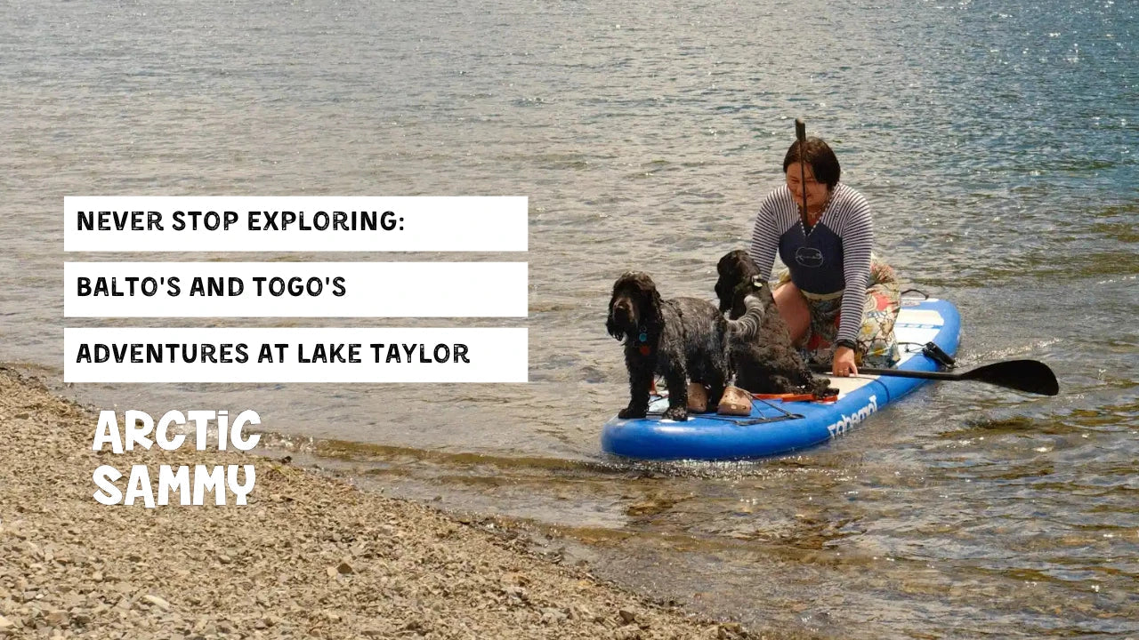 Never Stop Exploring - Balto's and Togo's Adventures at Lake Taylor