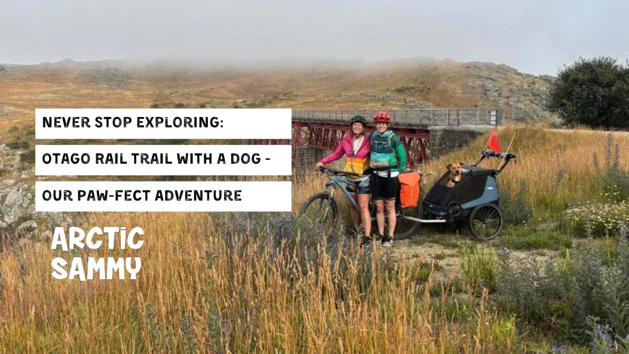 Never Stop Exploring: Otago Rail Trail with a Dog - our Paw-fect Adventure