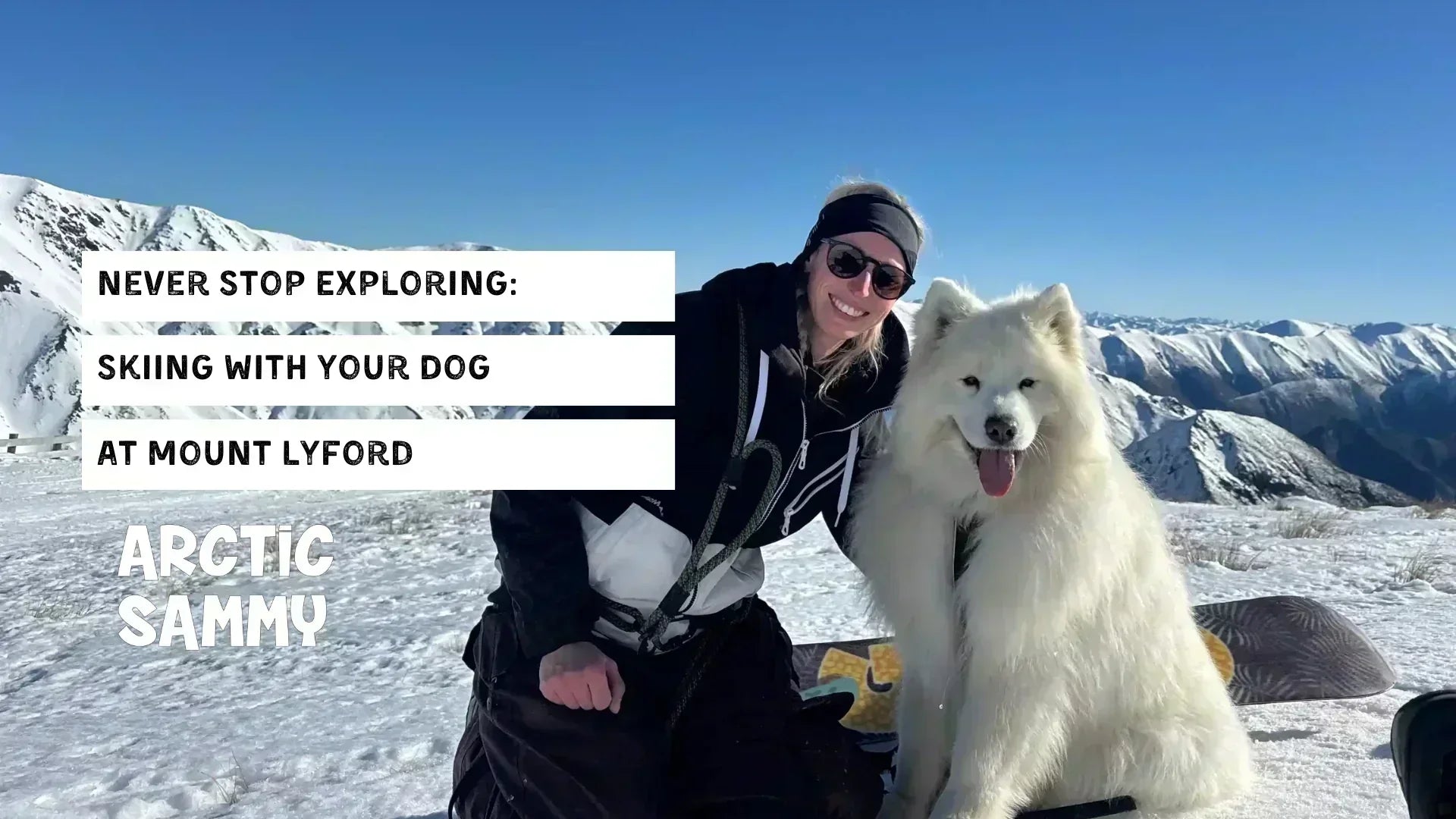 Skiing With Your Dog at Mount Lyford: Everything You Need to Know