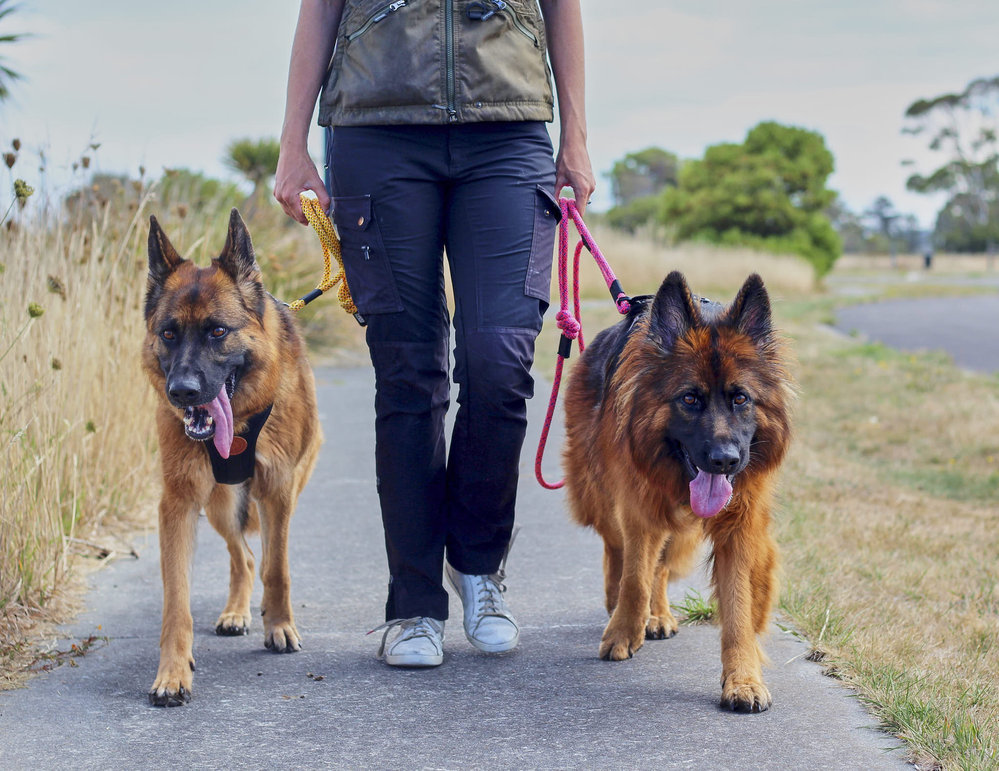 Dog Leashes with Traffic Handle