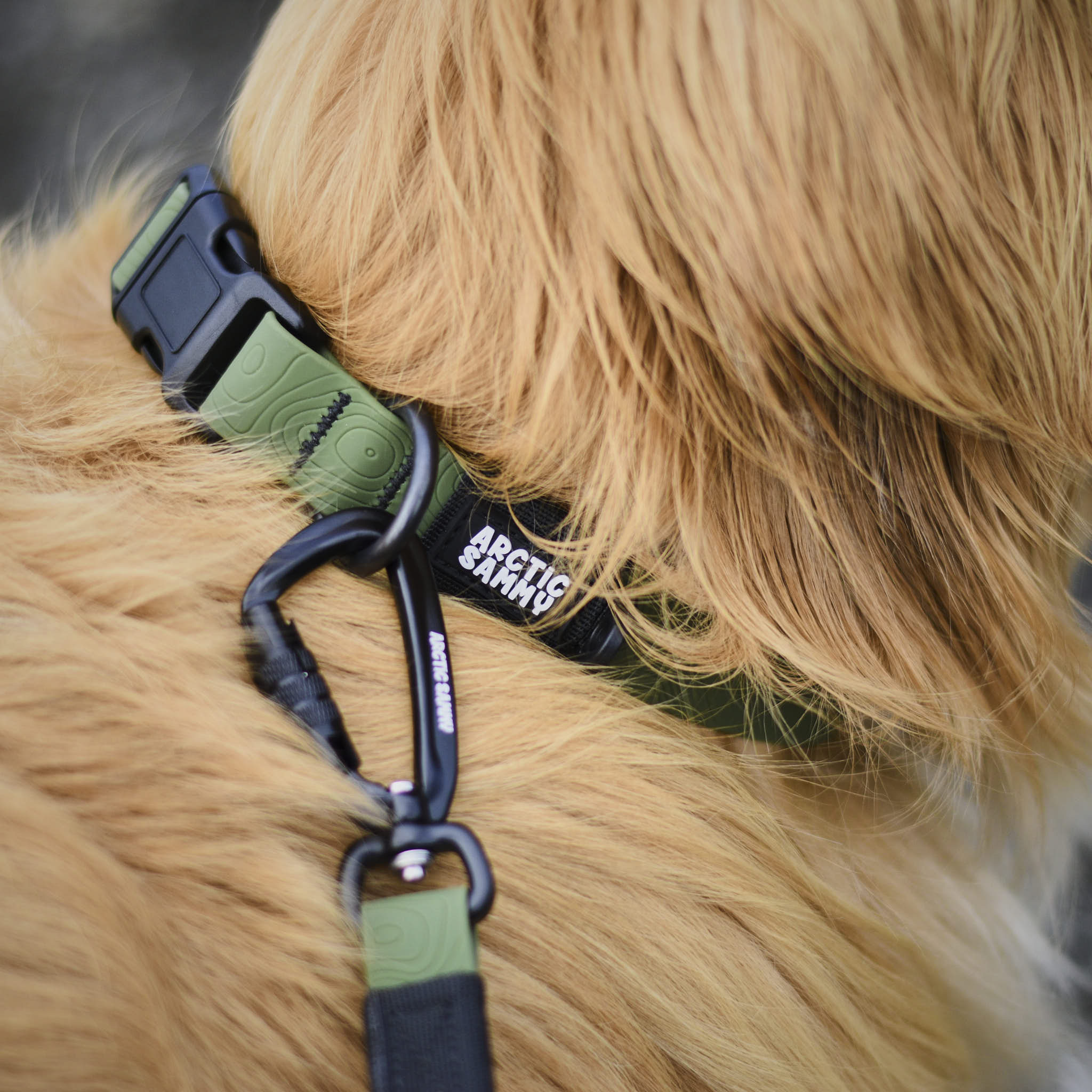 Terraflow Waterpoof Collars