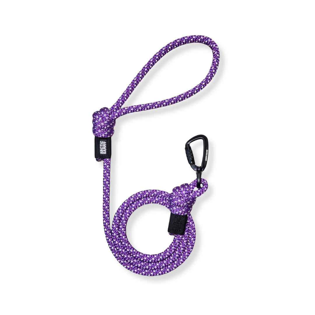 Train and Recall Long Line Dog Leash Handle I Arctic Sammy