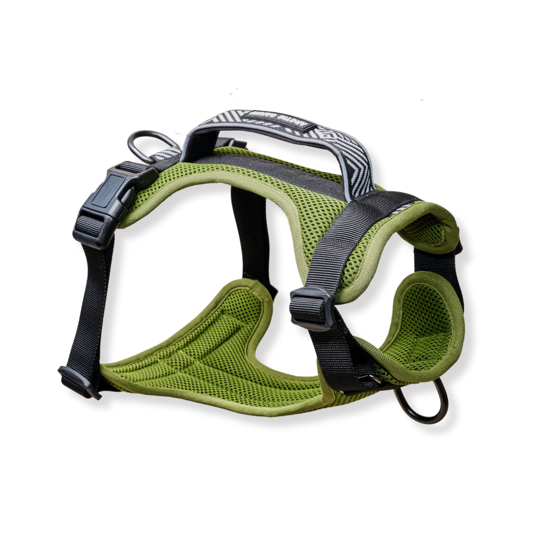 Green Dog Harness