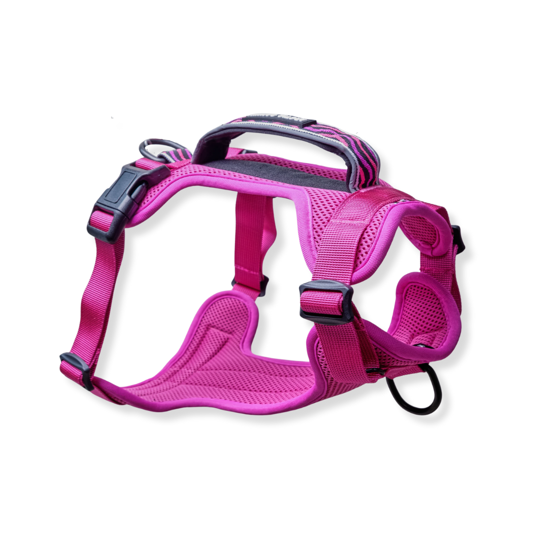 Adventure Pet Harness