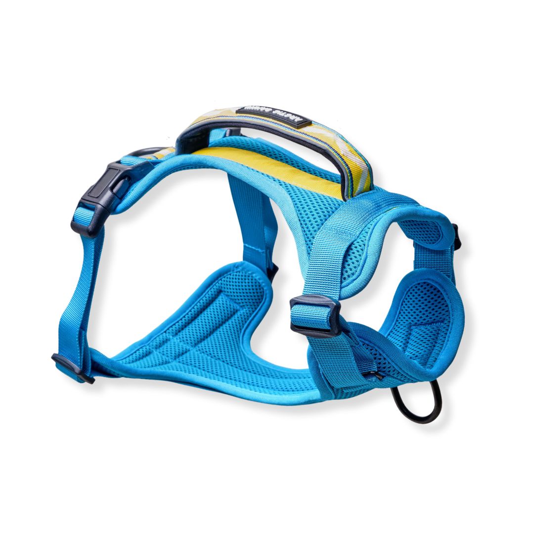 Blue Dog Harness