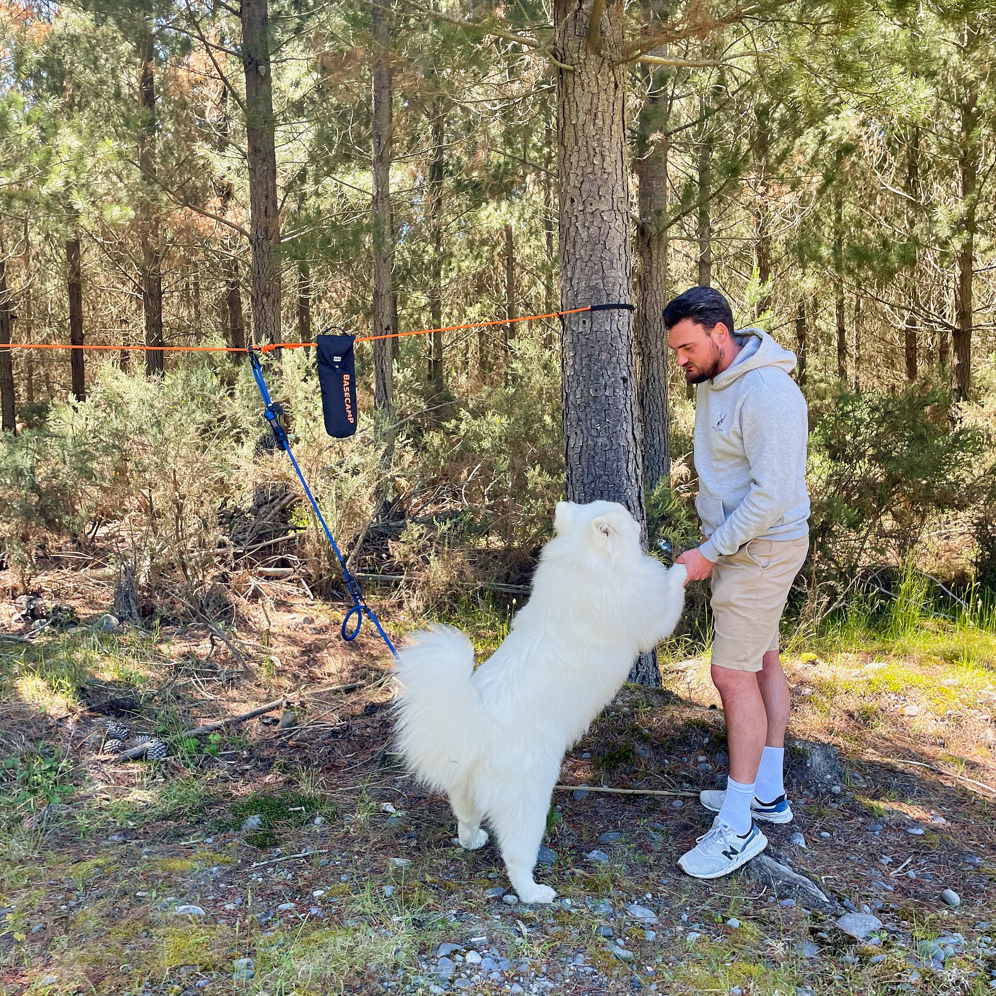 camping dog tether
