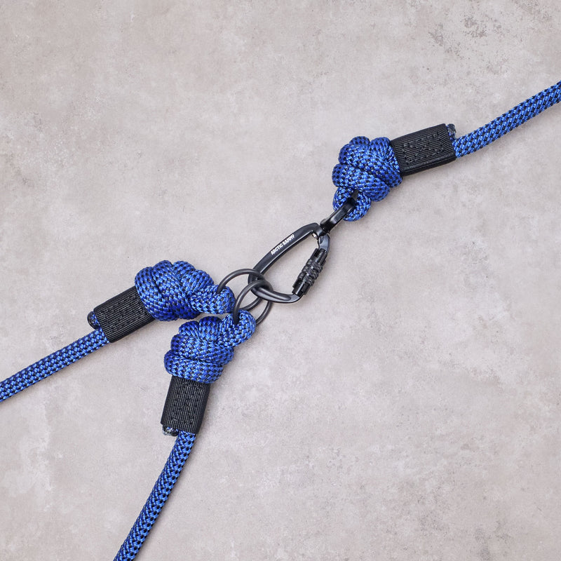 Benmore Handsfree Double Dog Lead Arctic Sammy