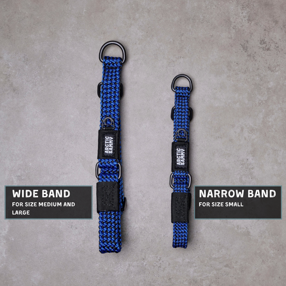 Benmore Martingale Collar