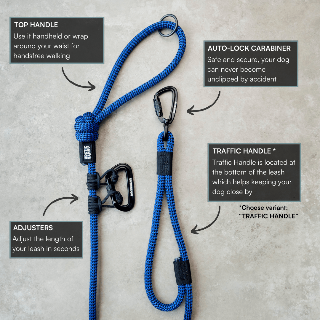 Benmore Trail Runner Handsfree Dog Leash