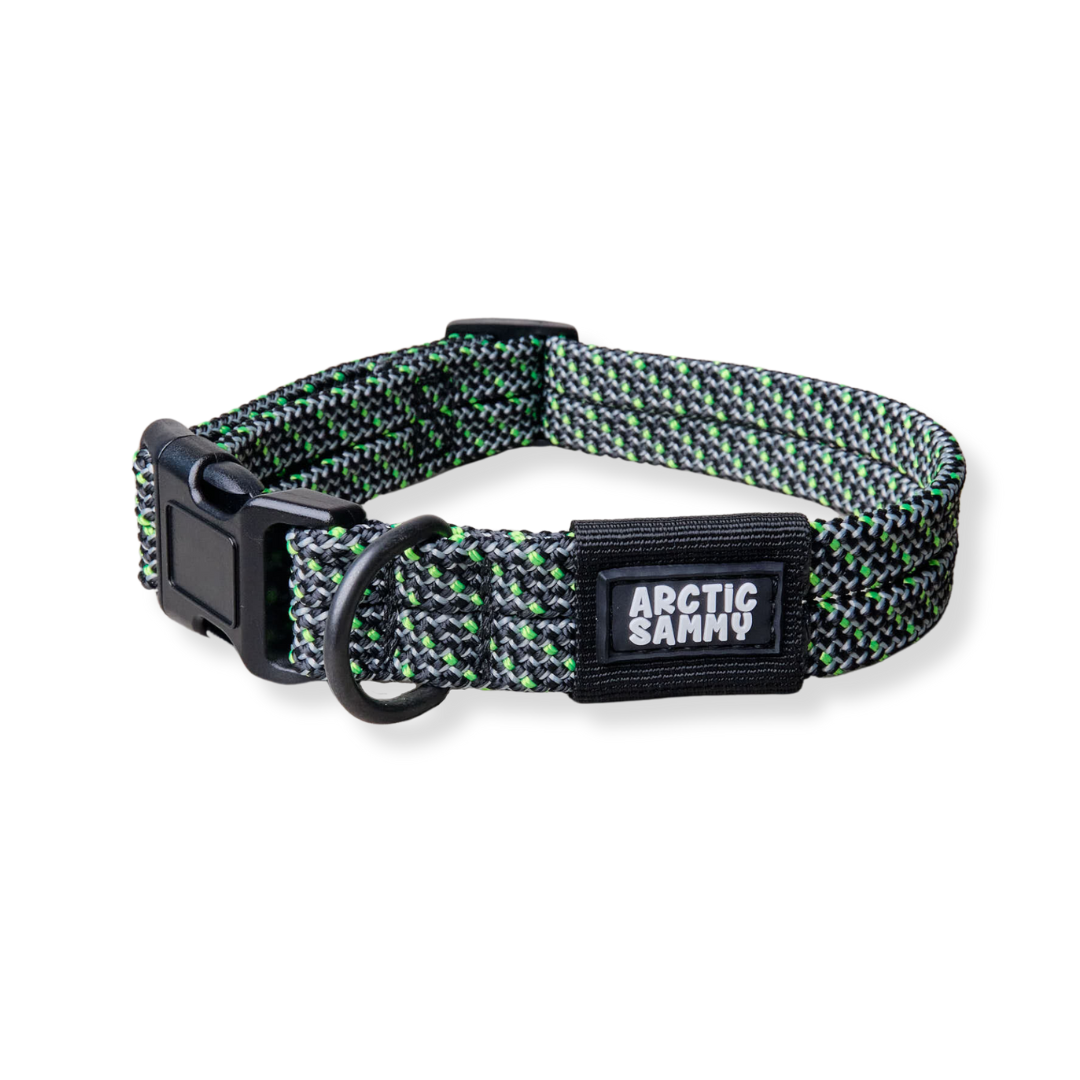 Craigieburn Dog Collar