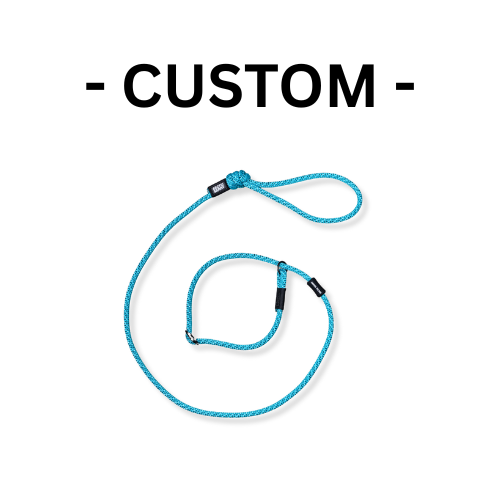 Custom Pukaki Dog Slip Leash - 1m
