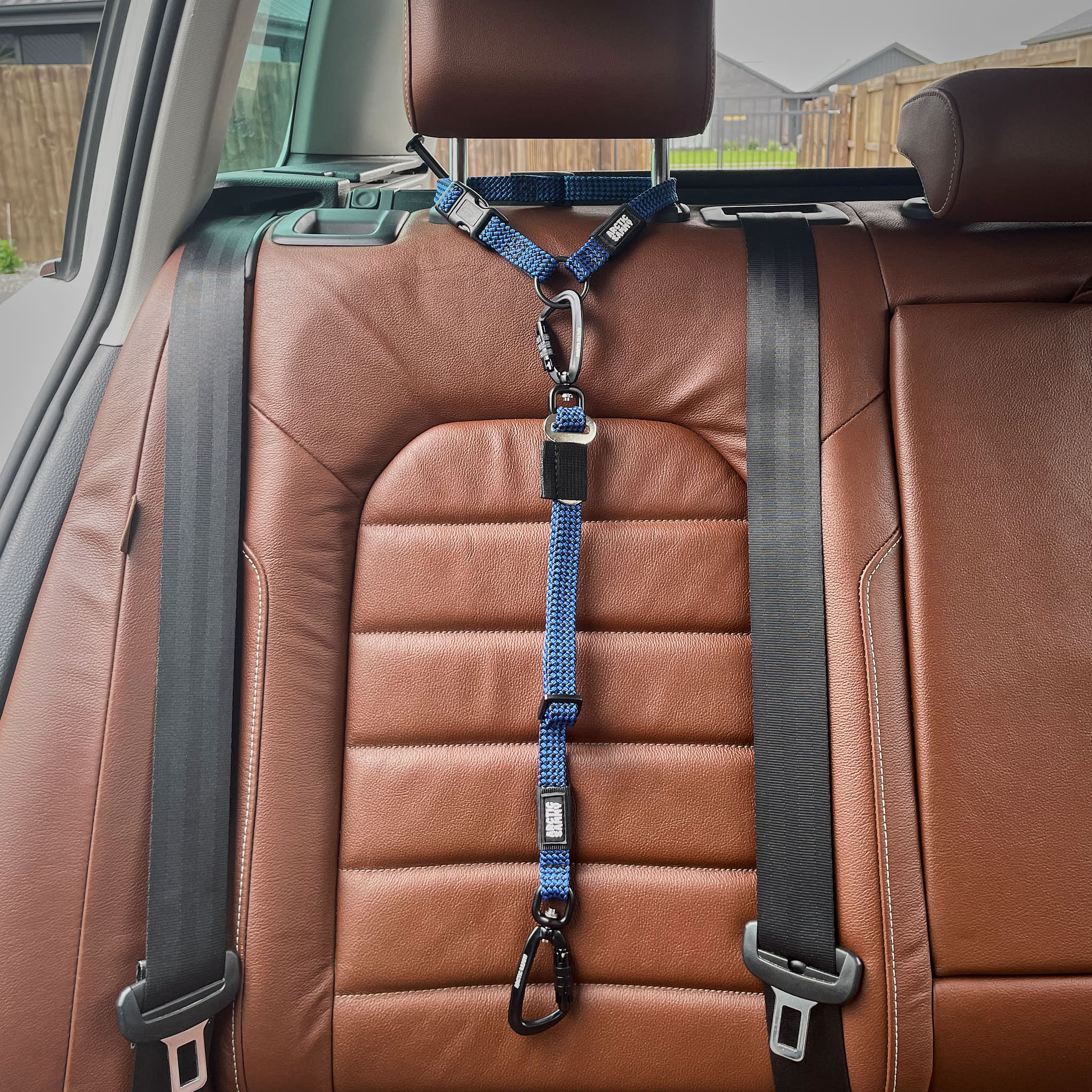 benmore dog car tether