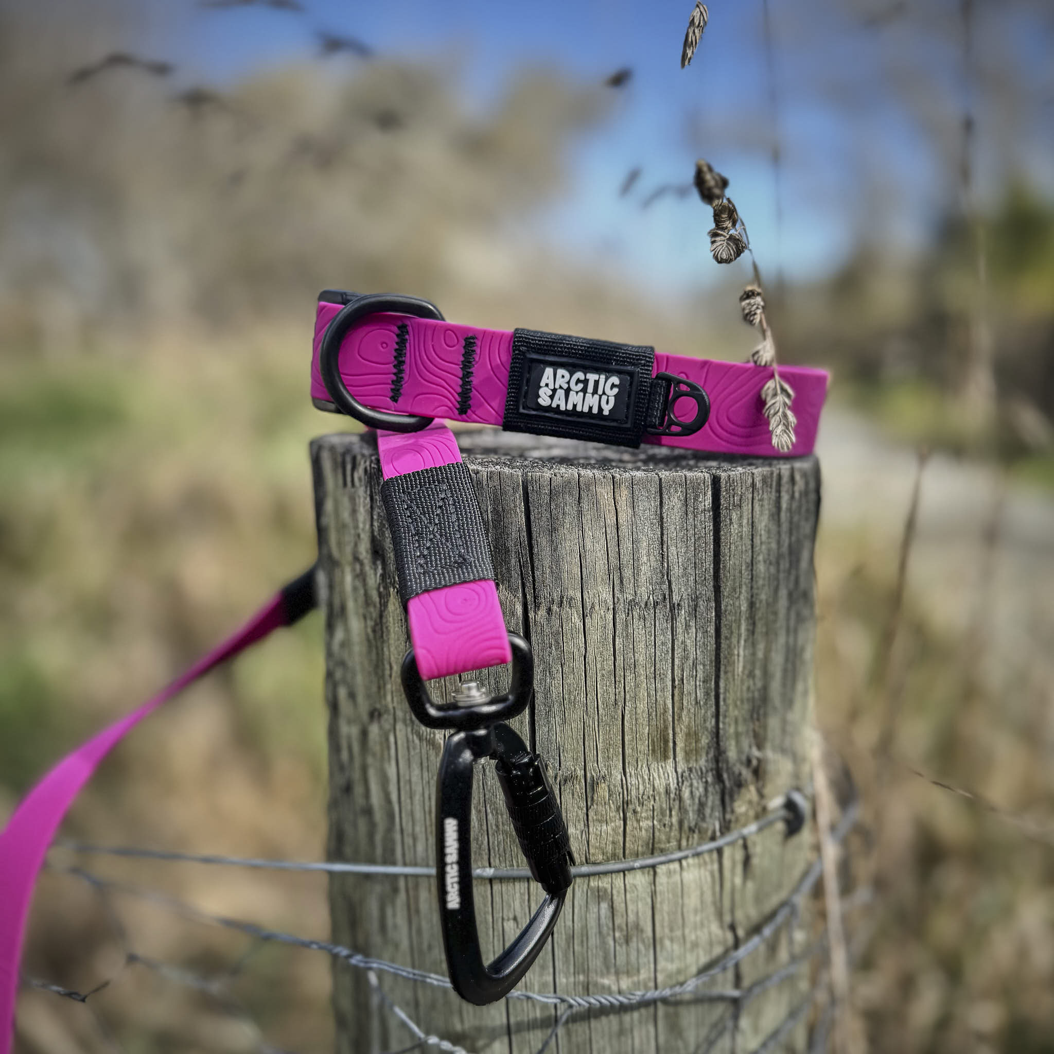 Pink Terraflow Waterproof Dog Collar
