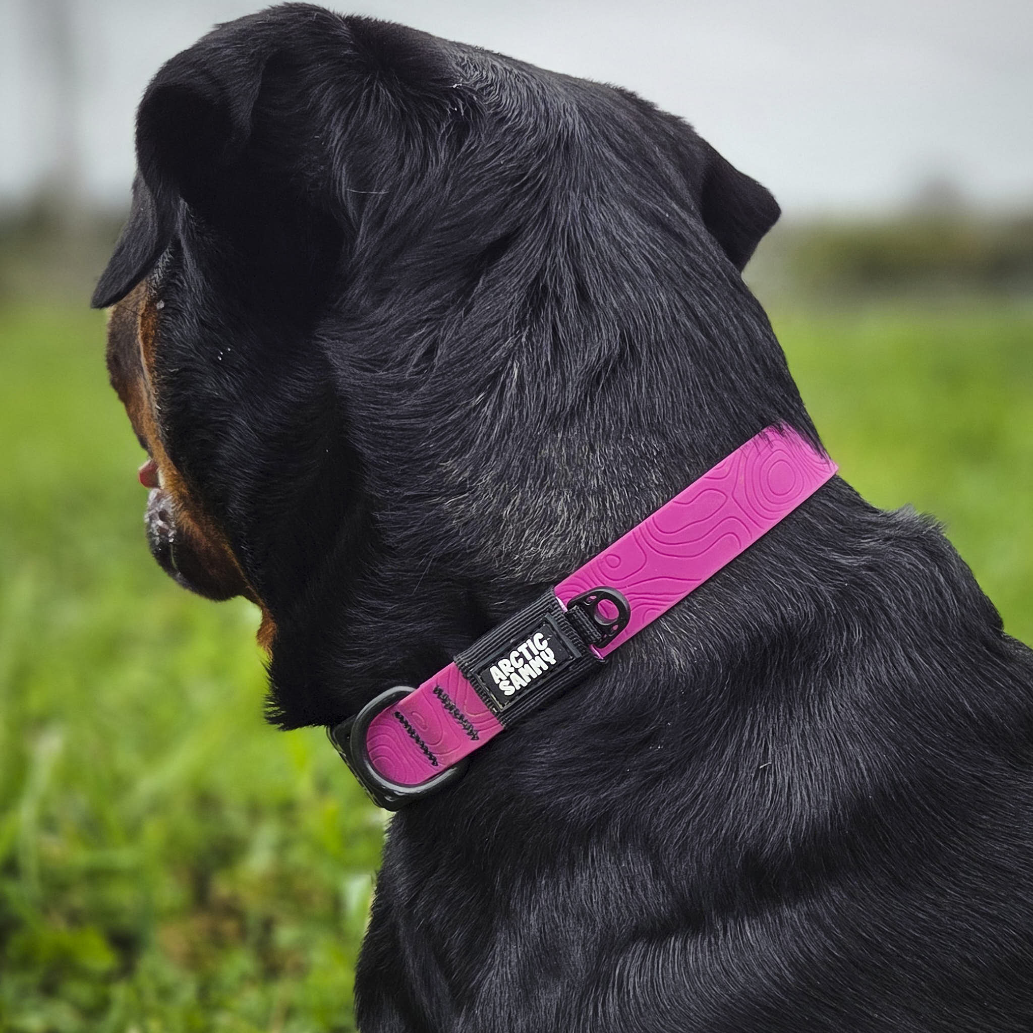 Pink Terraflow Waterproof Dog Collar