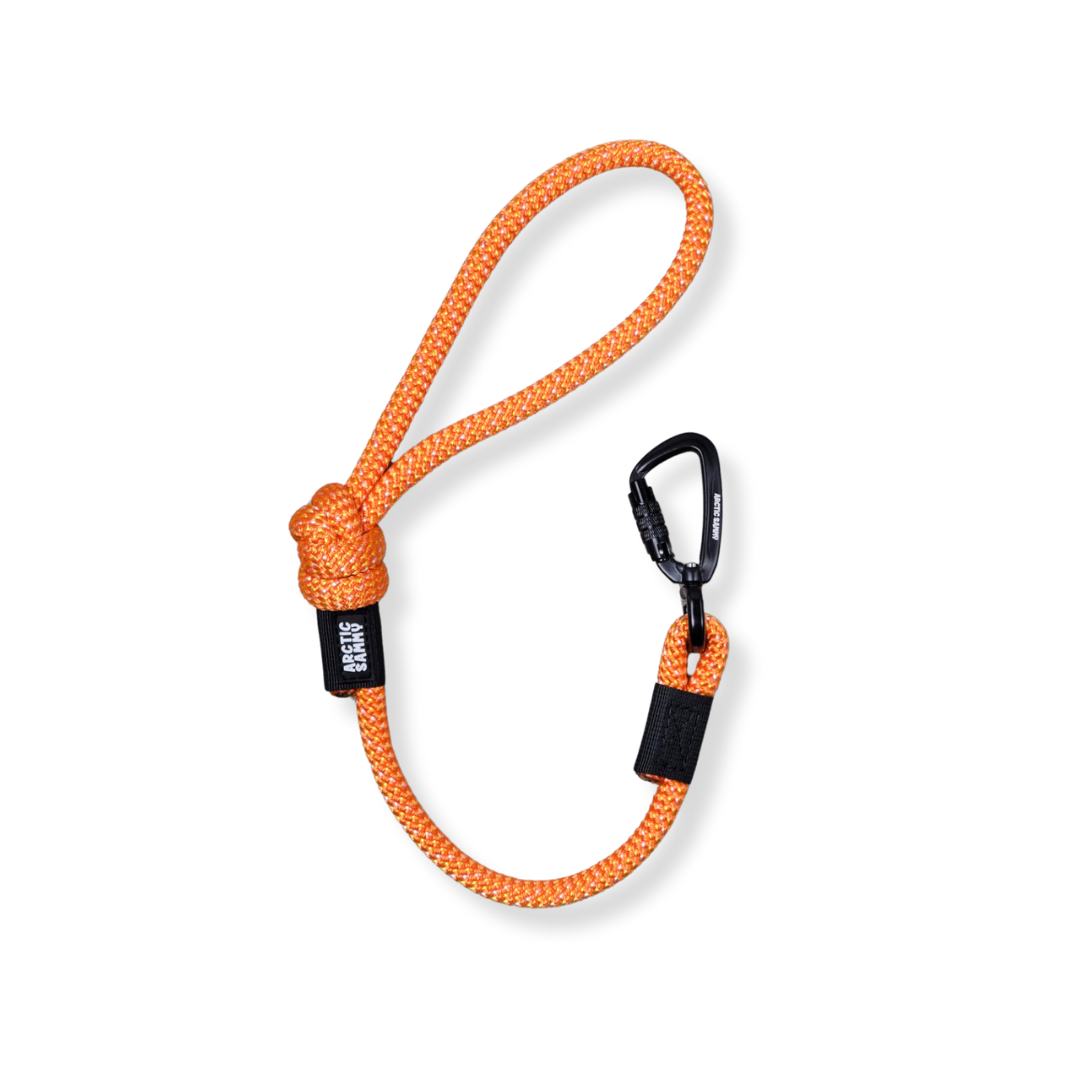 Hawea City Walker Dog Traffic Leash