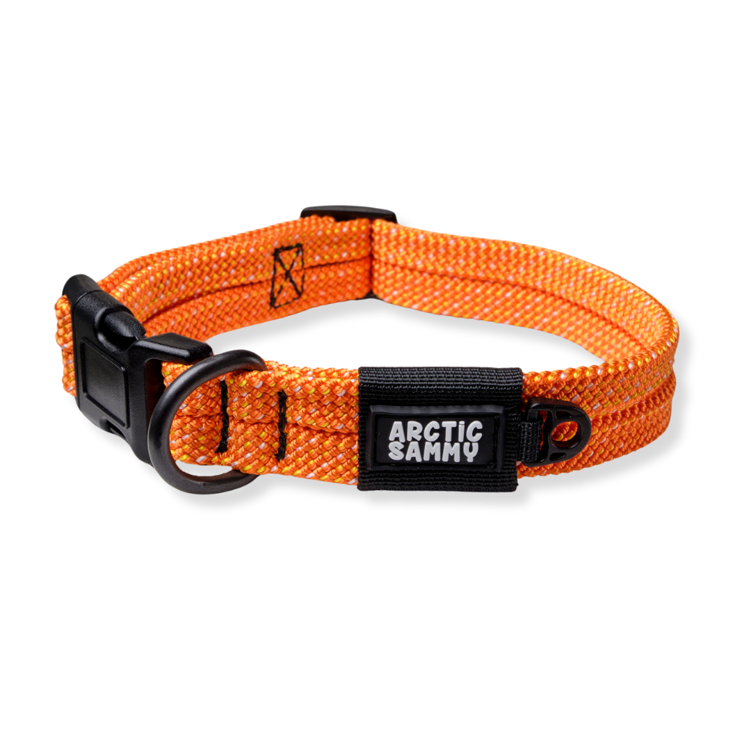 Hawea Dog Collar