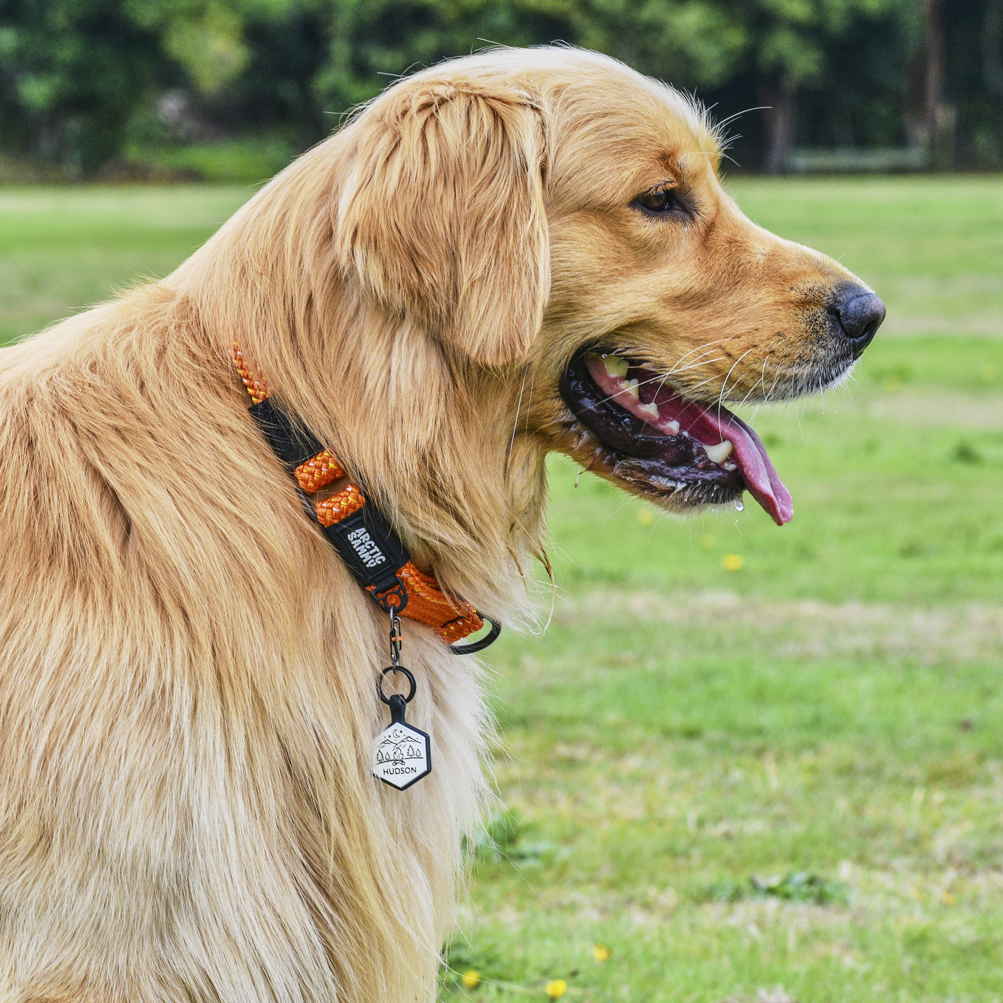 Hawea Martingale Collar *New Design*