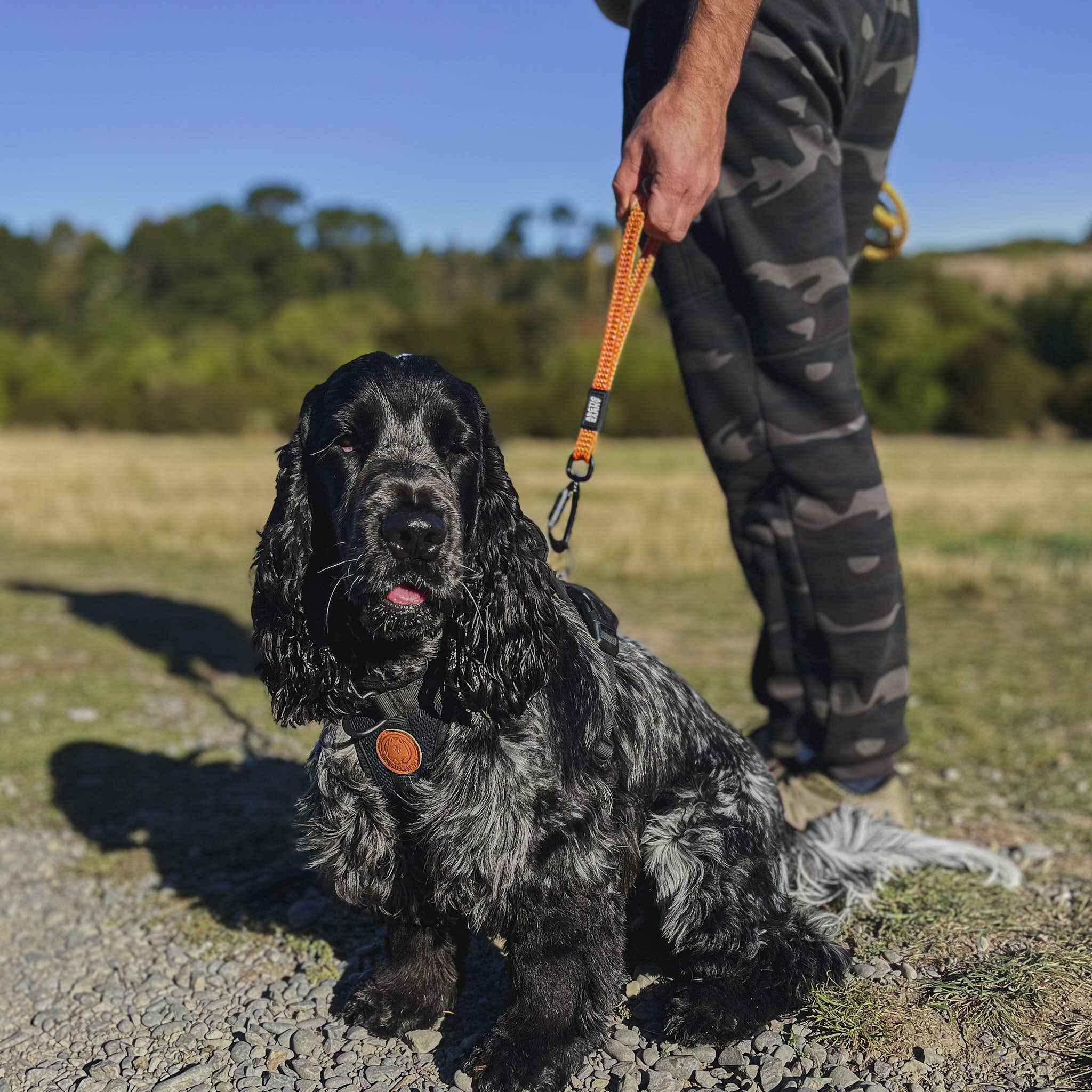 Hawea Transfer Leash