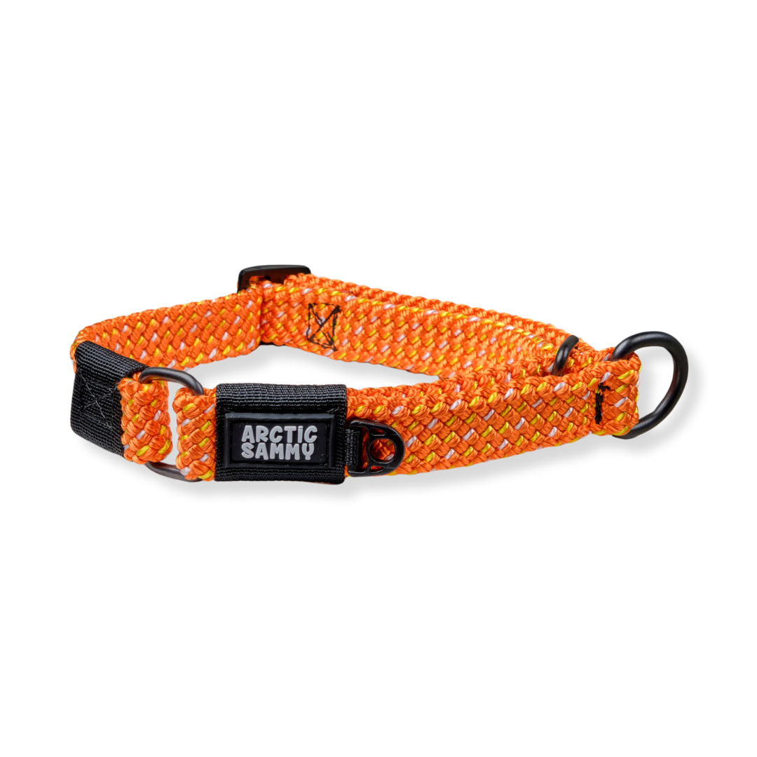 Hawea Martingale Collar