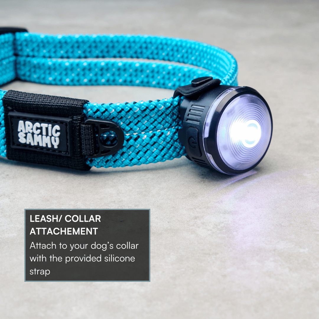 LED Dog Collar Light