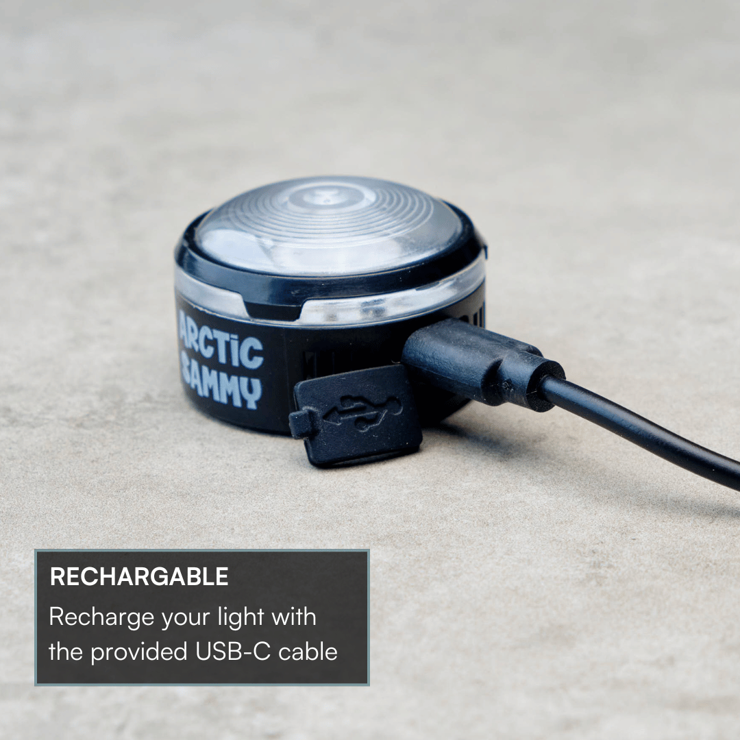 LED Dog Collar Light