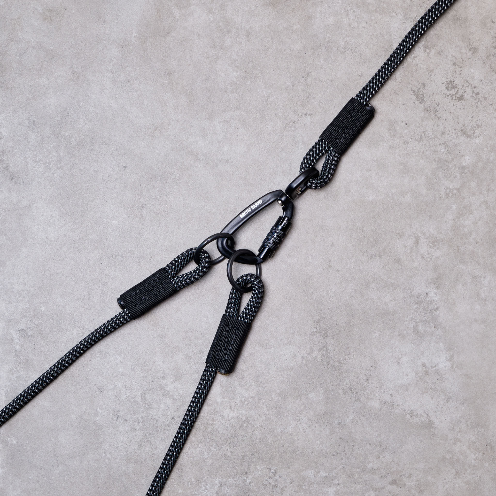 dog lead
