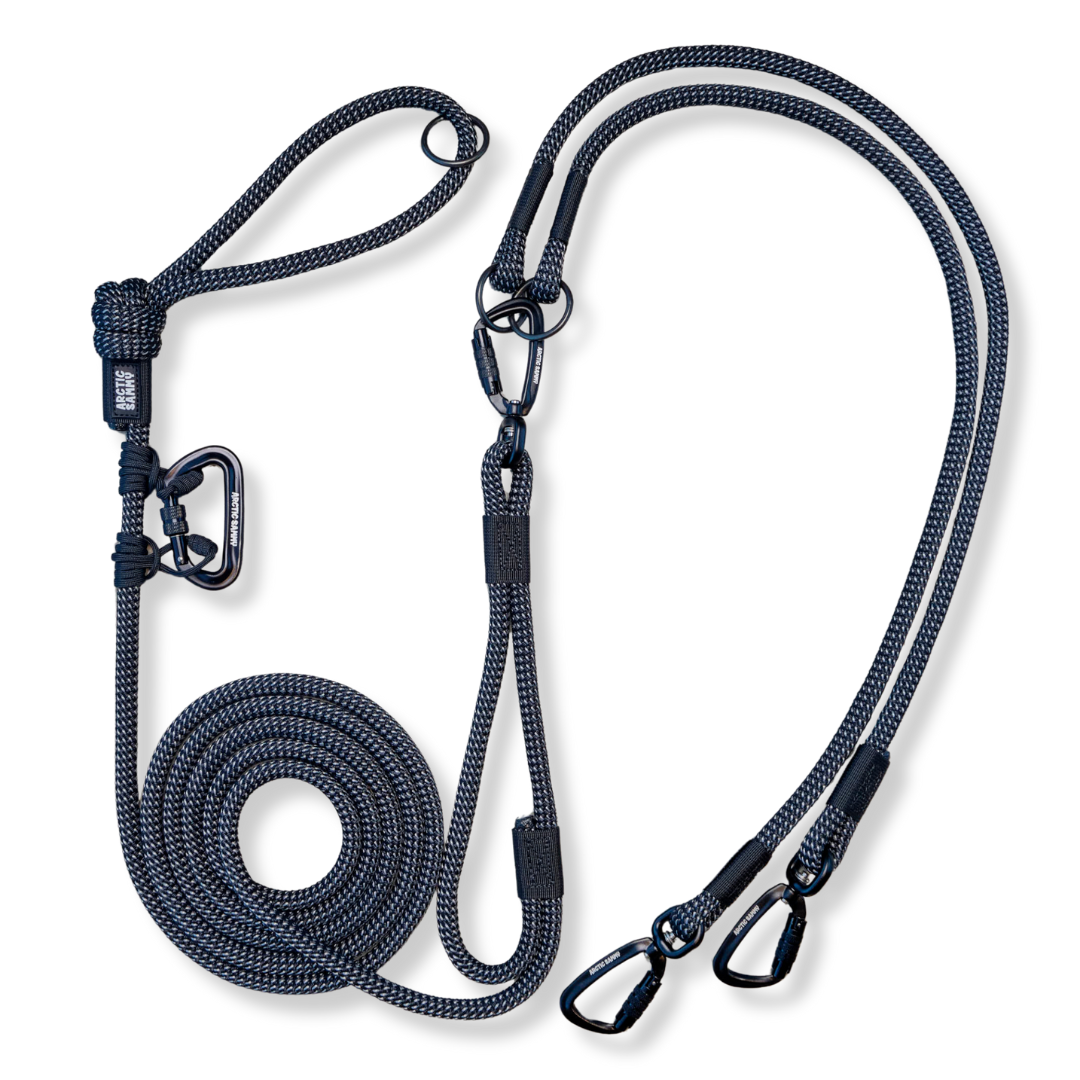 Mackenzie Handsfree Double Dog Leash