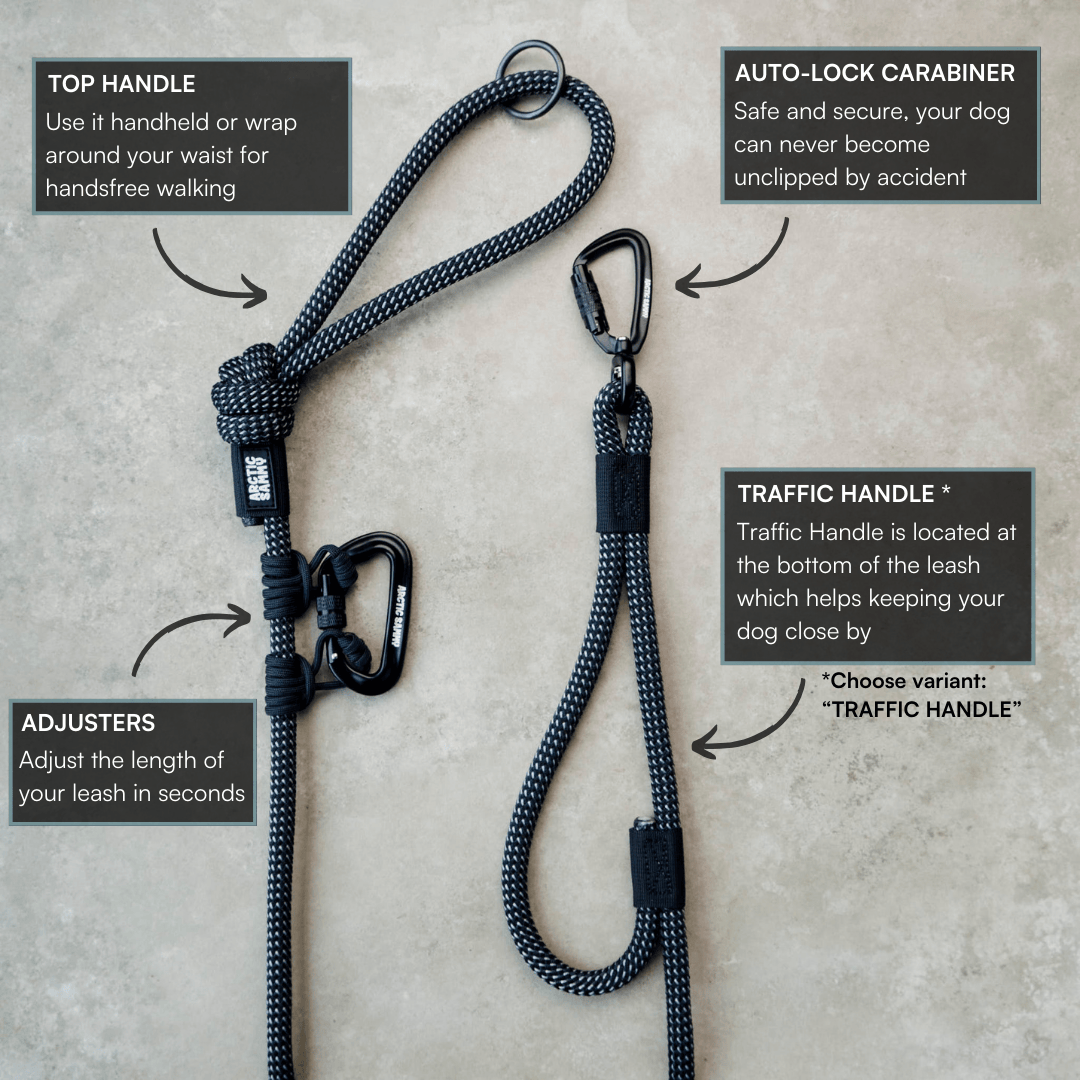 Mackenzie Trail Runner Handsfree Dog Leash