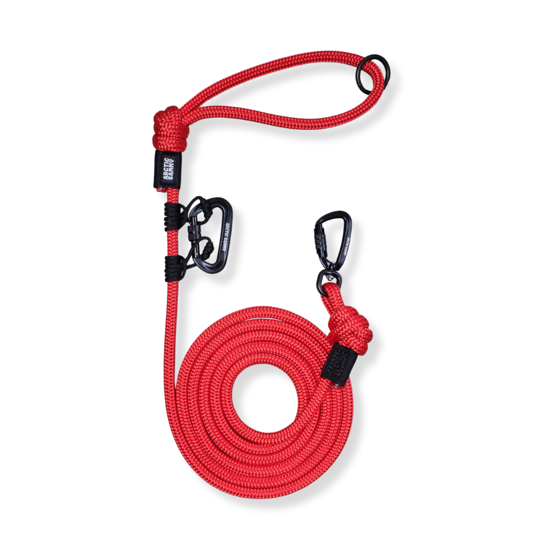 Monowai Trail Runner Handsfree Dog Leash