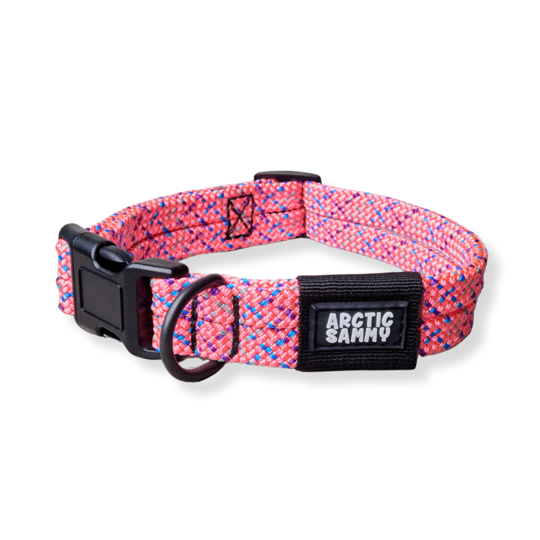 Ohau Dog Collar