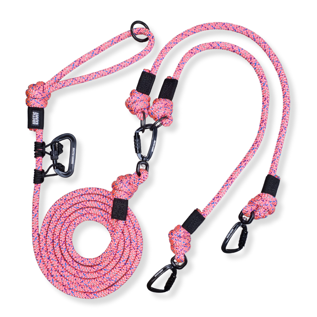 Ohau Handsfree Double Dog Leash