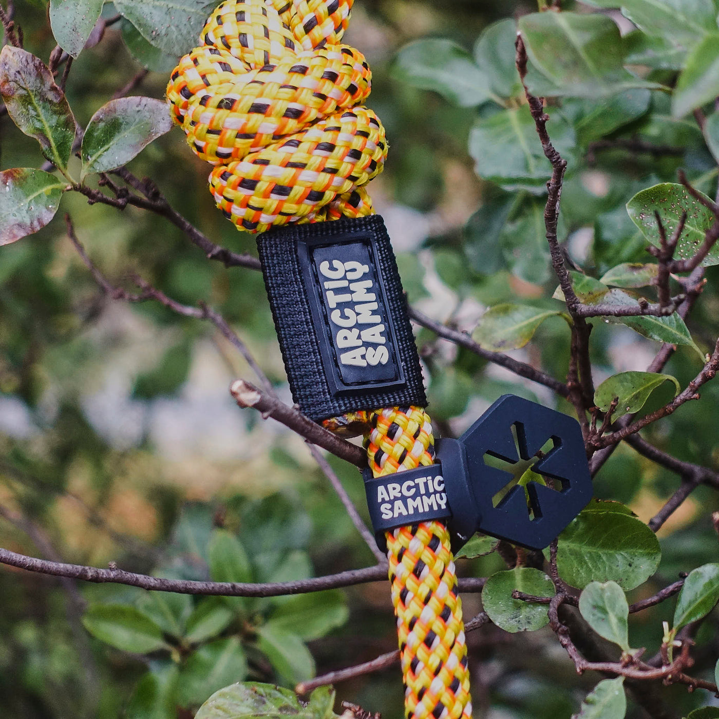 Poop Loop | Arctic Sammy