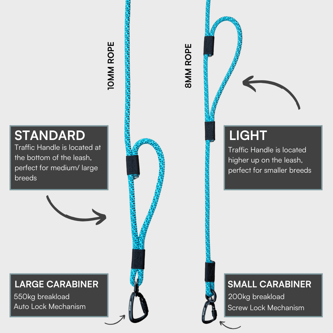 Pukaki Rope Dog Leash with Traffic Handle