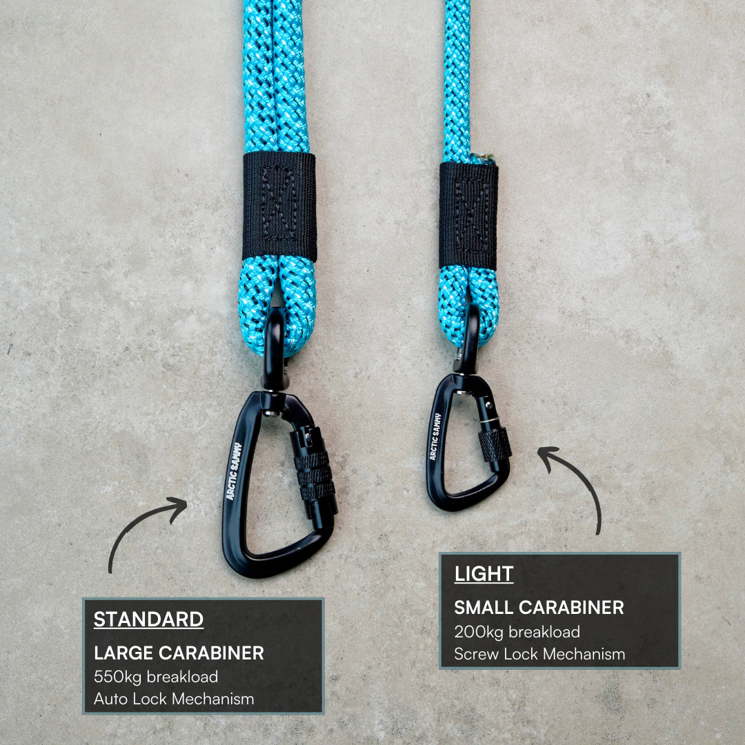 Pukaki Rope Dog Leash with Traffic Handle