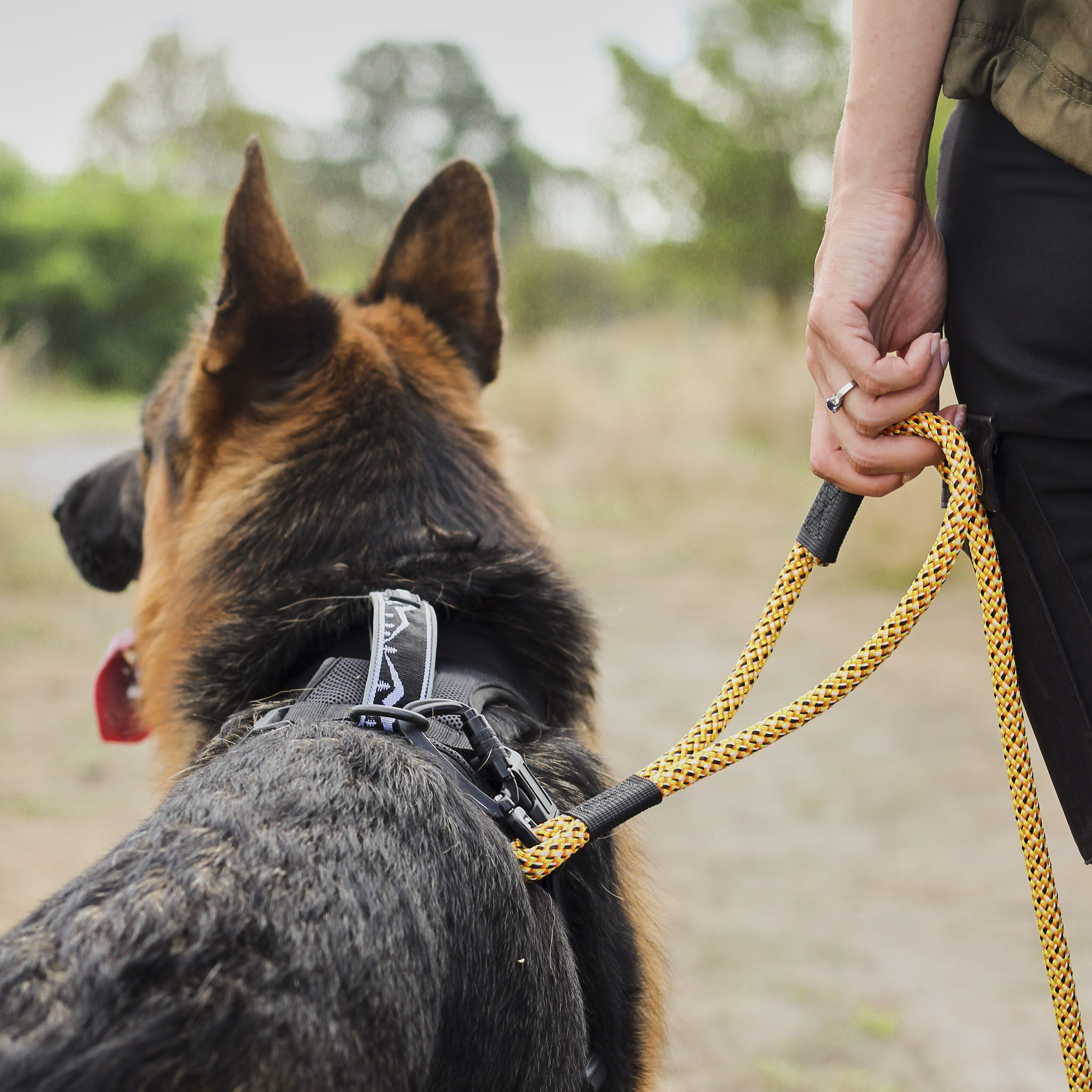 Raglan Rope Dog Leash with Traffic Handle