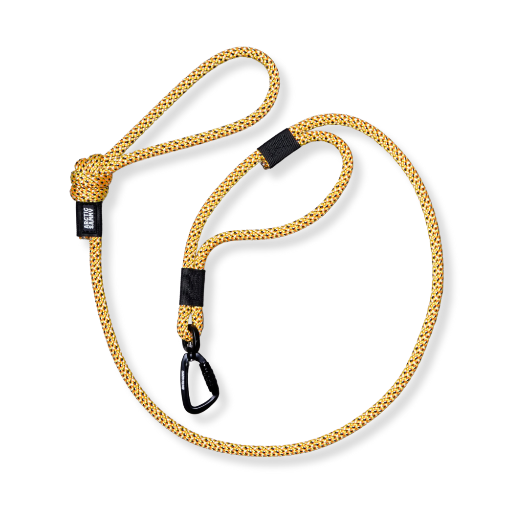 Raglan Rope Dog Leash with Traffic Handle