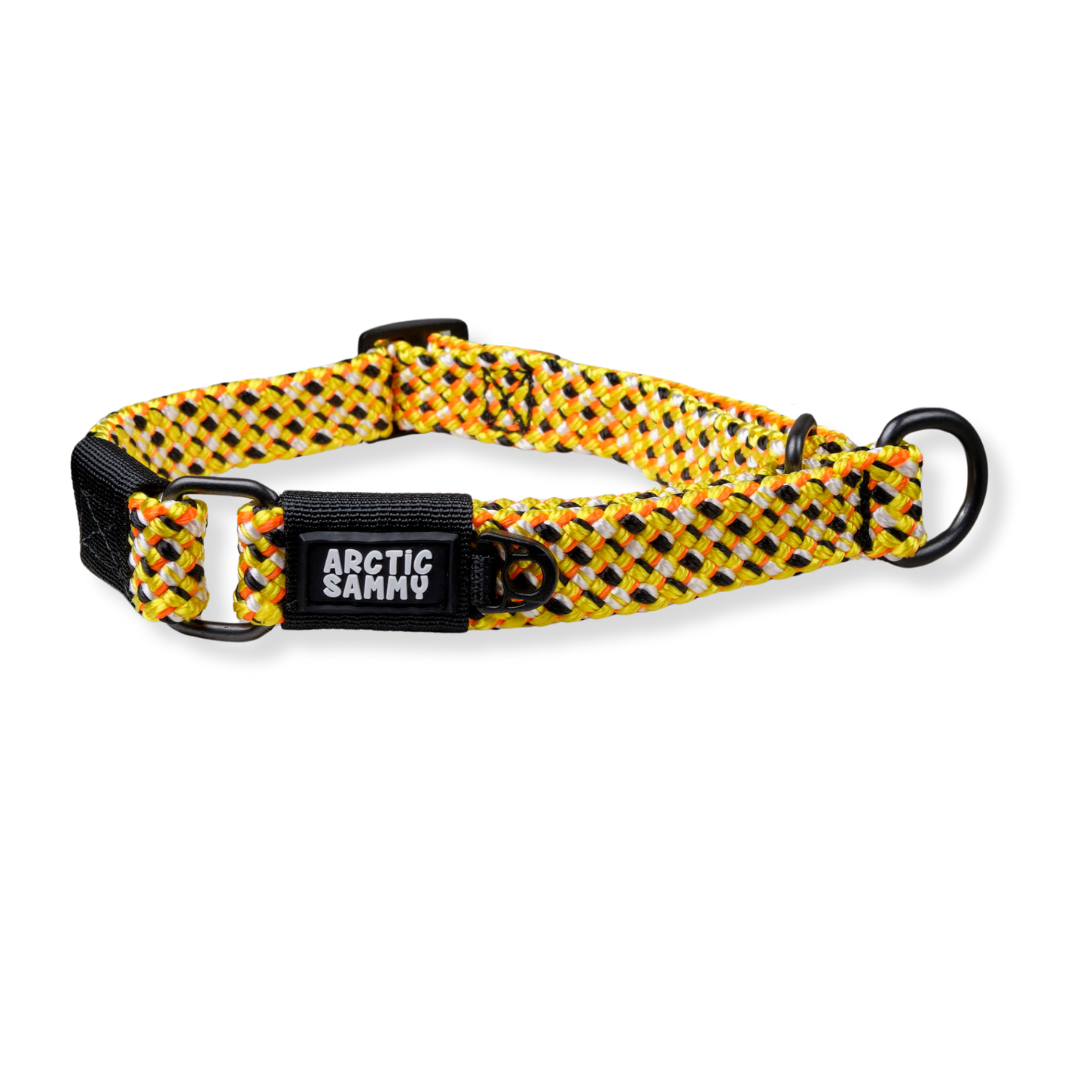 Raglan Martingale Collar