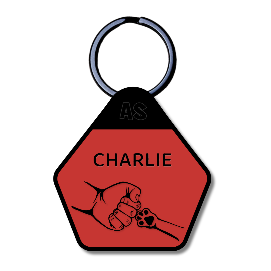 Dog Accessories
