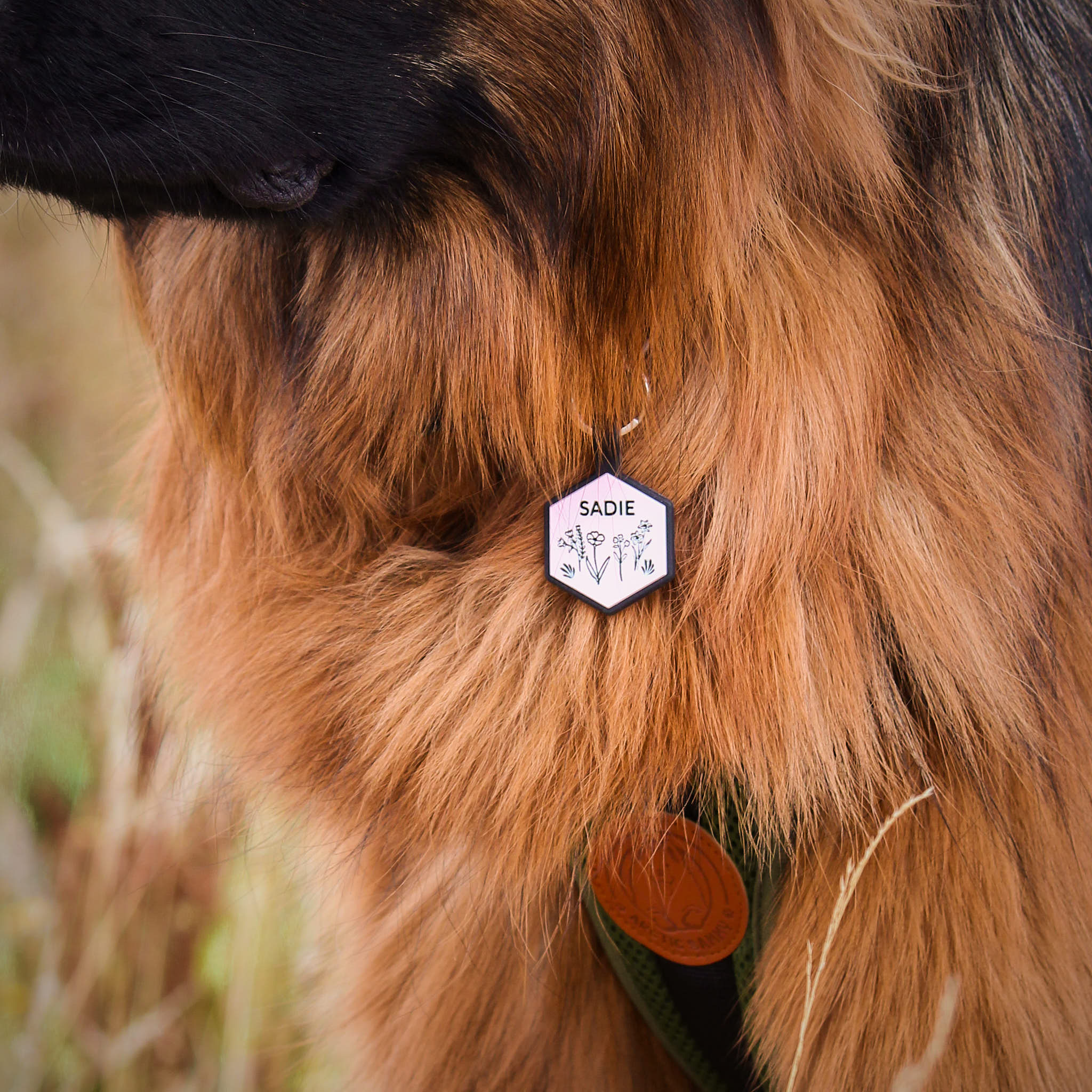 House of henry dog tags shop
