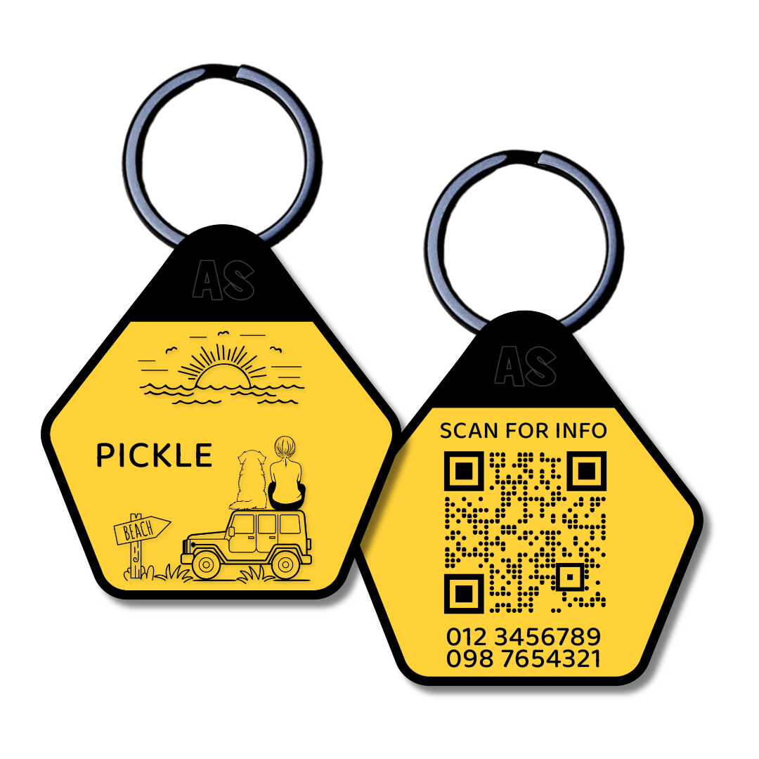 QR Code Dog ID Tag - Pickle