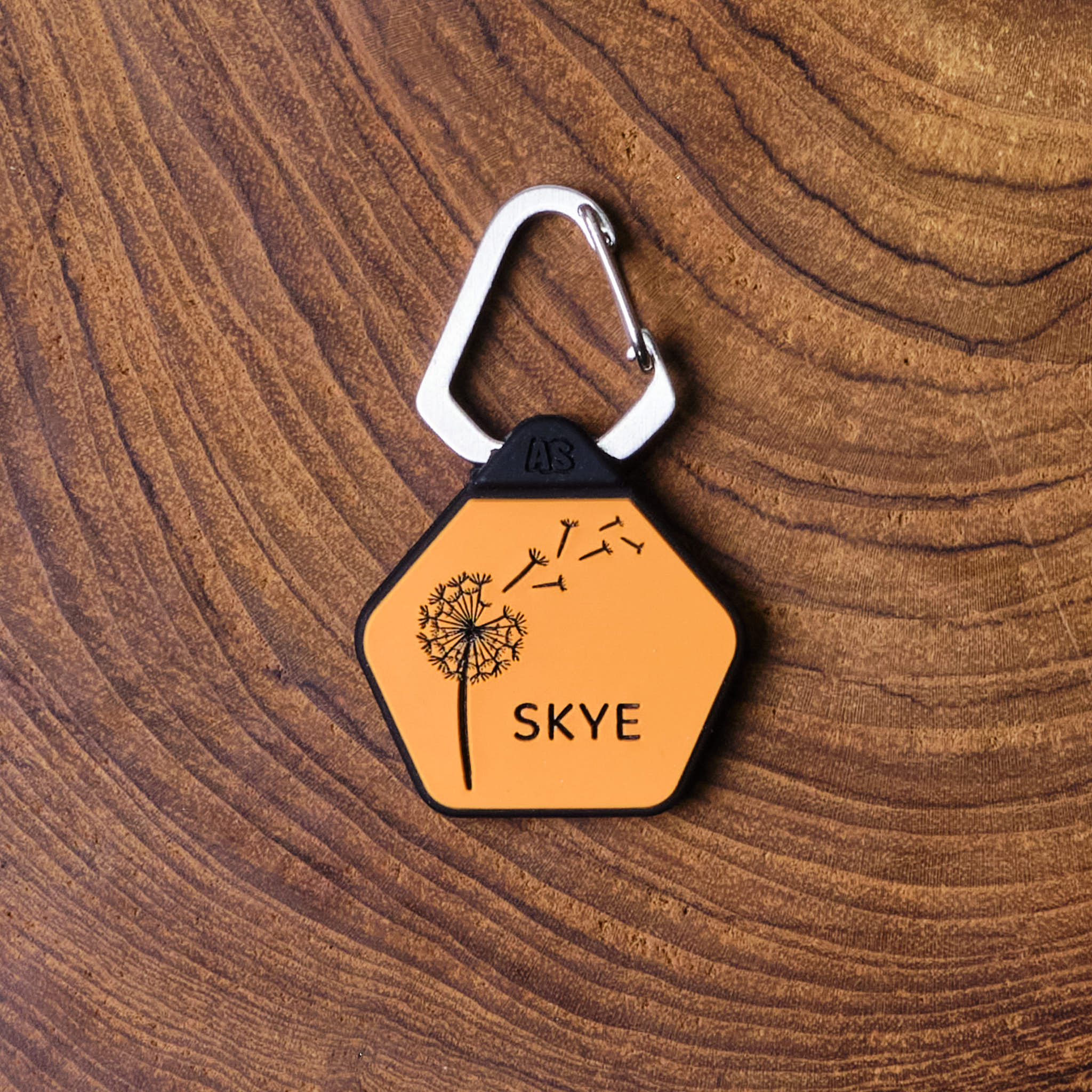 Dog Accessories