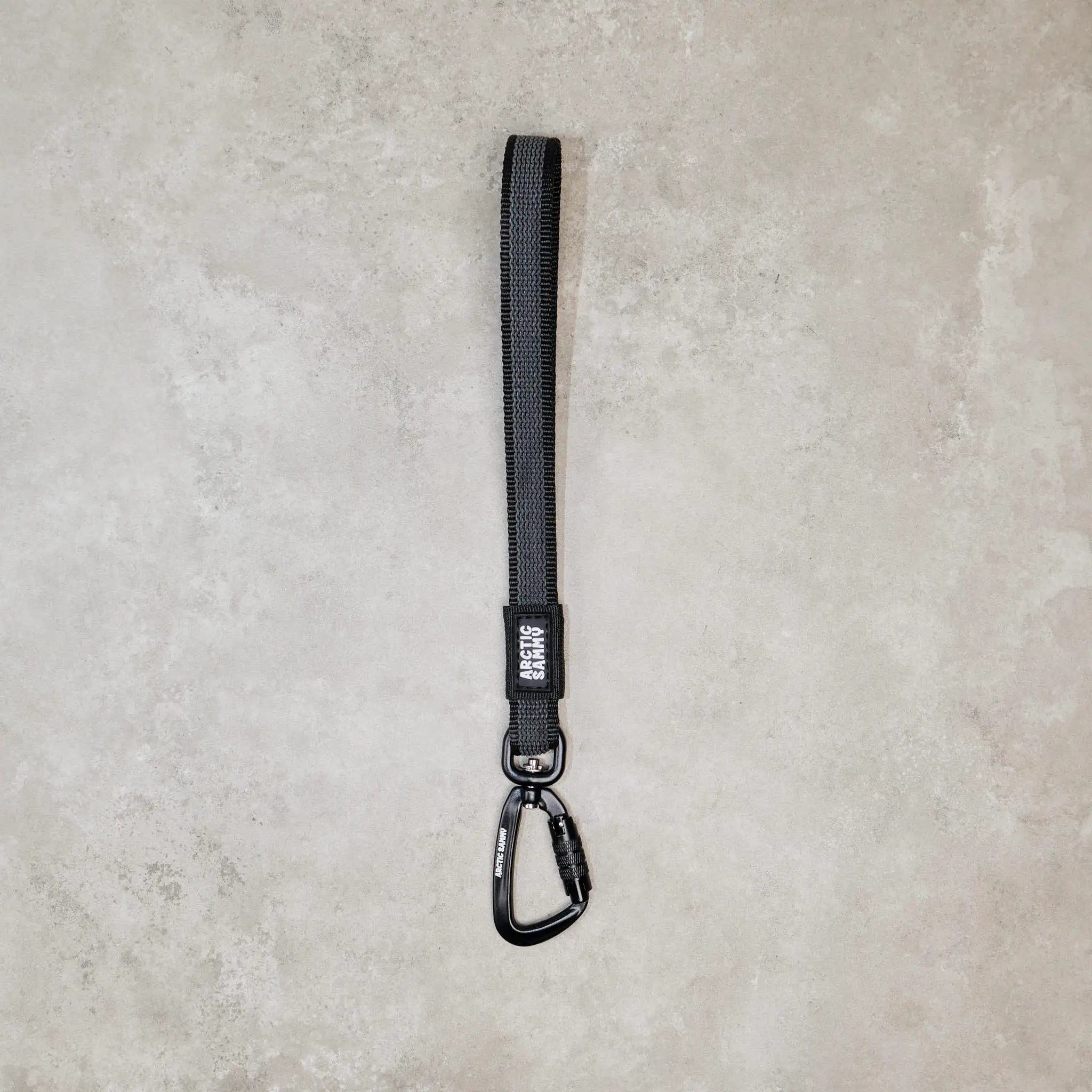 Black Train and Recall Long Line Dog Leash - Handle