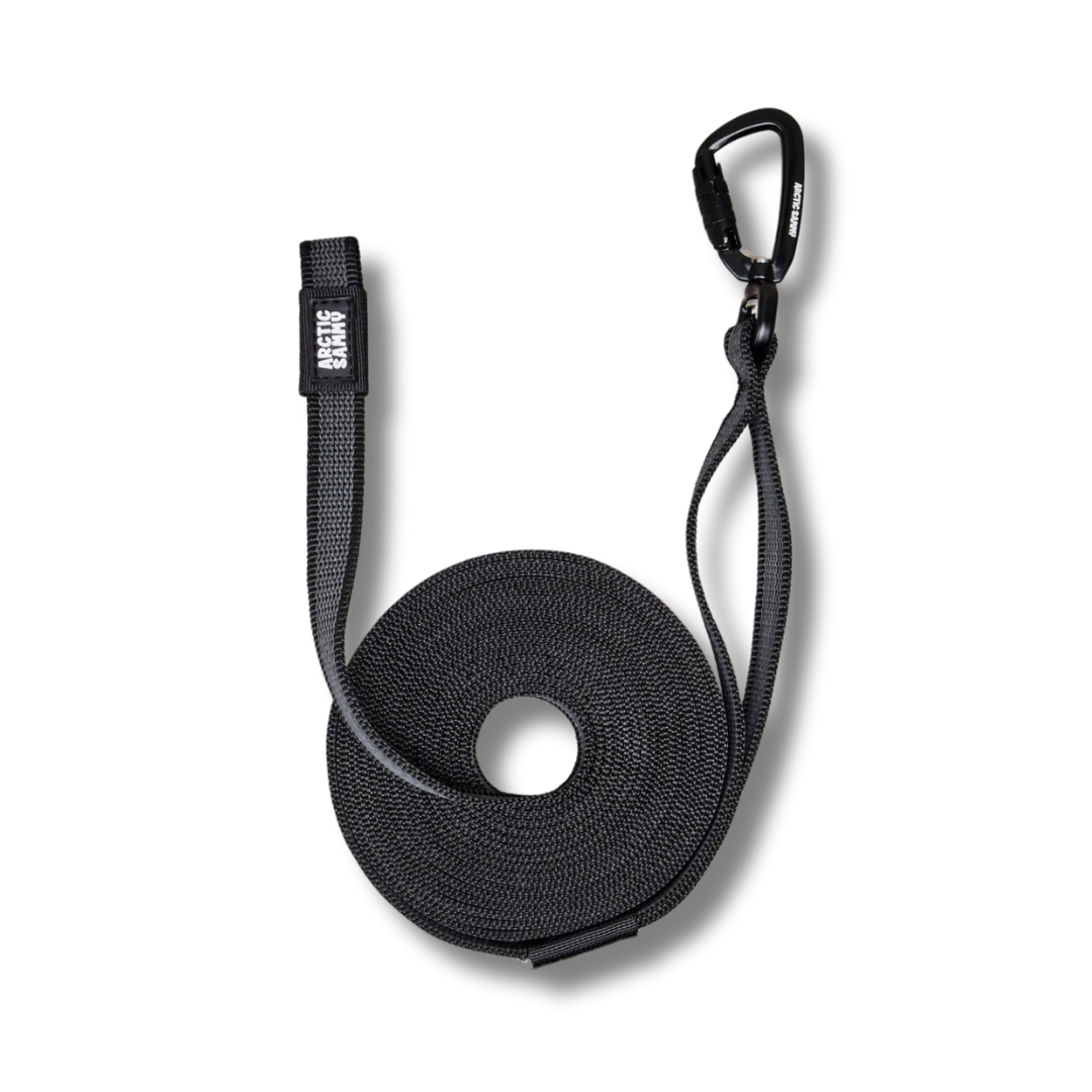 Train and Recall Long Line Dog Leash